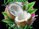 Coconut Rootz – I've Fallen For You